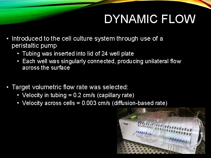 DYNAMIC FLOW • Introduced to the cell culture system through use of a peristaltic