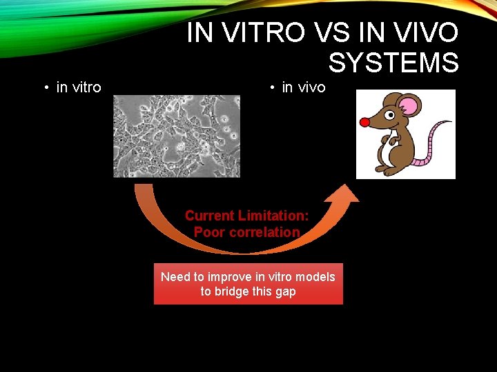 IN VITRO VS IN VIVO SYSTEMS • in vitro • in vivo Current Limitation:
