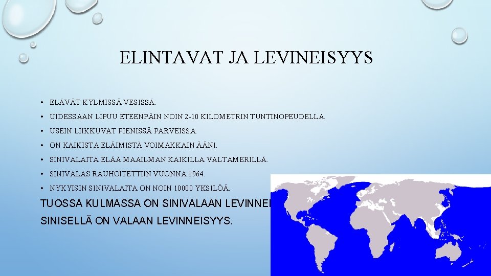 ELINTAVAT JA LEVINEISYYS • ELÄVÄT KYLMISSÄ VESISSÄ. • UIDESSAAN LIPUU ETEENPÄIN NOIN 2 -10