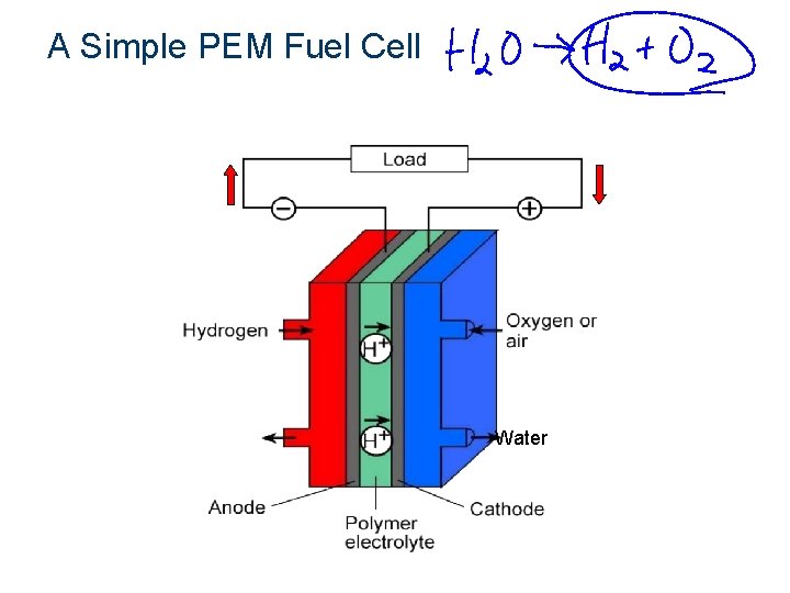 A Simple PEM Fuel Cell Hydrogen + Oxygen Electricity + Water 