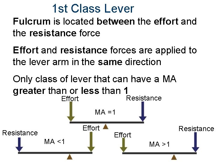 1 st Class Lever Fulcrum is located between the effort and the resistance force
