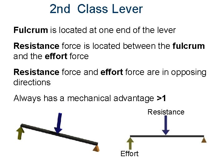 2 nd Class Lever Fulcrum is located at one end of the lever Resistance