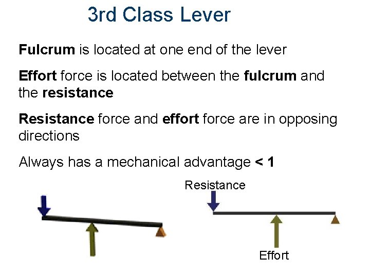 3 rd Class Lever Fulcrum is located at one end of the lever Effort