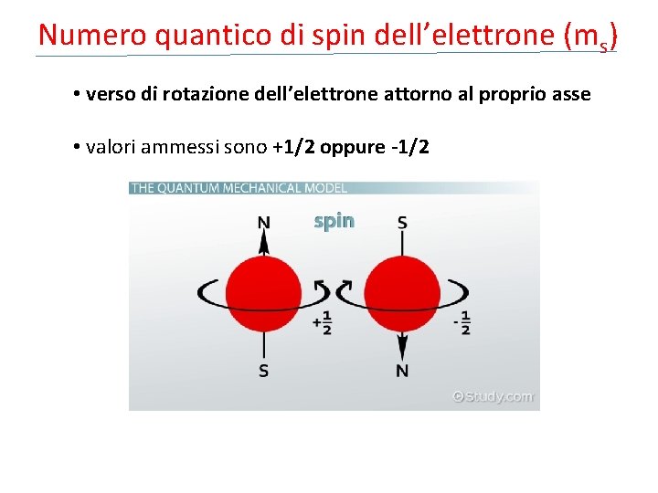 Numero quantico di spin dell’elettrone (ms) • verso di rotazione dell’elettrone attorno al proprio