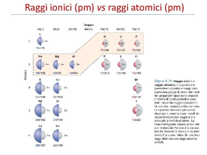 Raggi ionici (pm) vs raggi atomici (pm) 