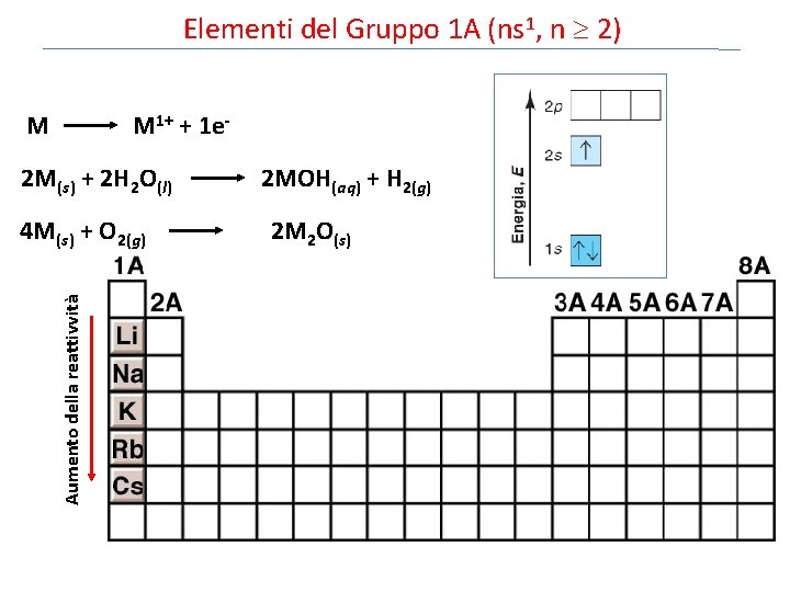 Elementi del Gruppo 1 A (ns 1, n 2) M M 1+ + 1