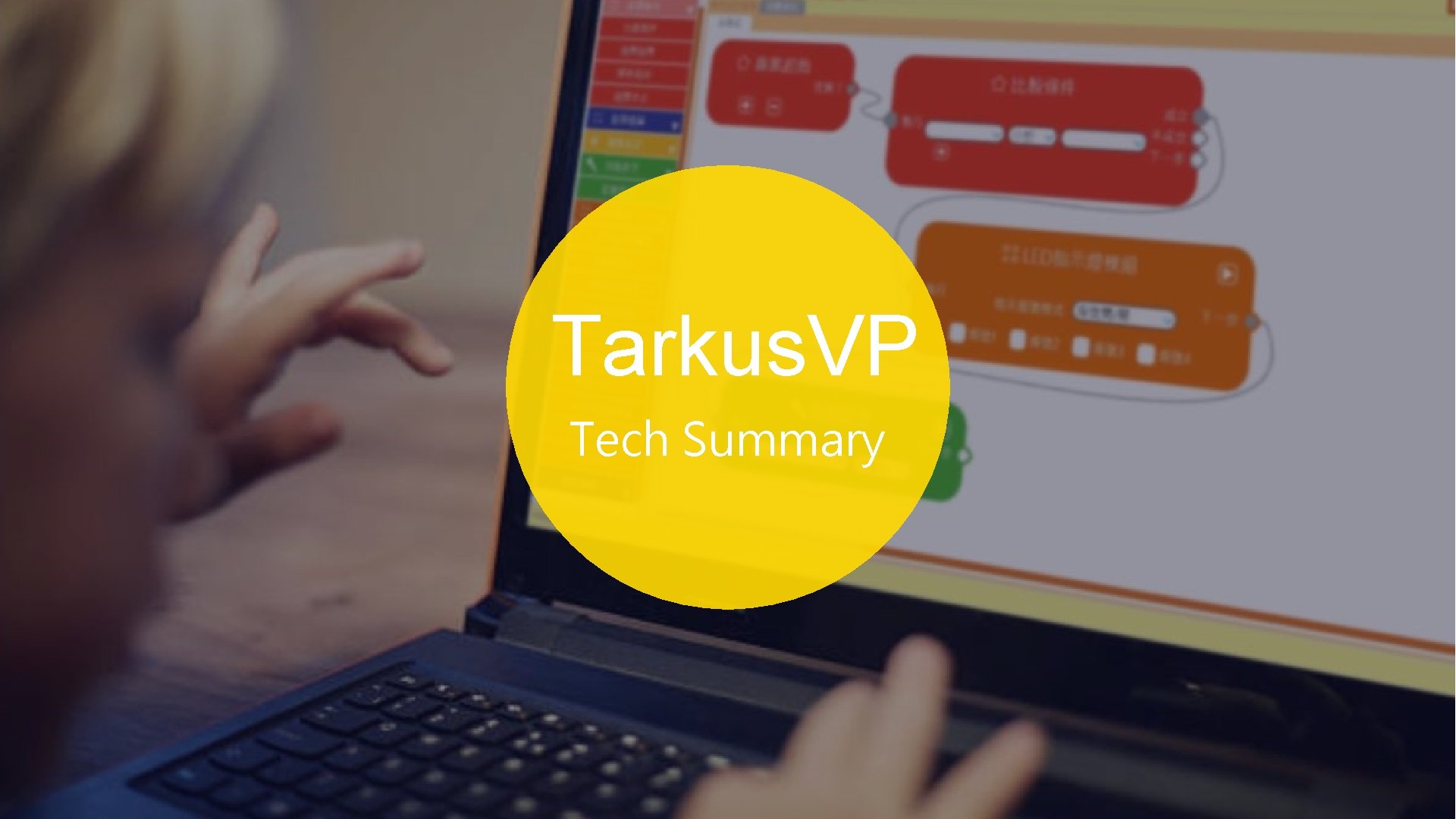 Tarkus. VP Tech Summary 2 