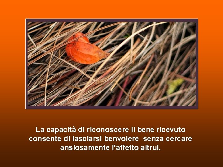 La capacità di riconoscere il bene ricevuto consente di lasciarsi benvolere senza cercare ansiosamente La capacità di riconoscere il bene ricevuto consente di lasciarsi benvolere senza cercare ansiosamente