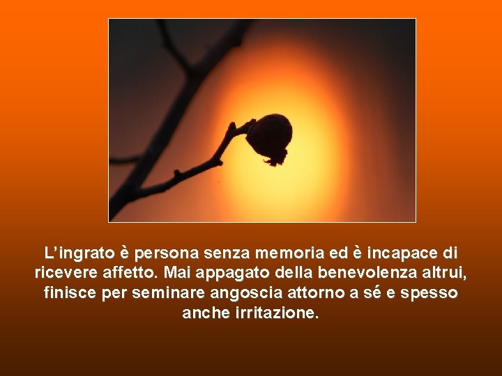 L’ingrato è persona senza memoria ed è incapace di ricevere affetto. Mai appagato della L’ingrato è persona senza memoria ed è incapace di ricevere affetto. Mai appagato della