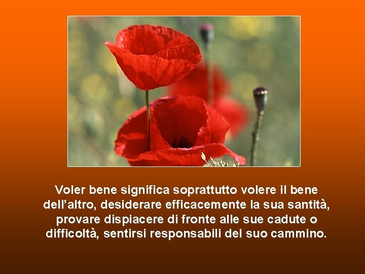 Voler bene significa soprattutto volere il bene dell’altro, desiderare efficacemente la sua santità, provare Voler bene significa soprattutto volere il bene dell’altro, desiderare efficacemente la sua santità, provare