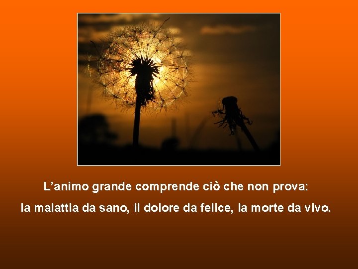 L’animo grande comprende ciò che non prova: la malattia da sano, il dolore da L’animo grande comprende ciò che non prova: la malattia da sano, il dolore da