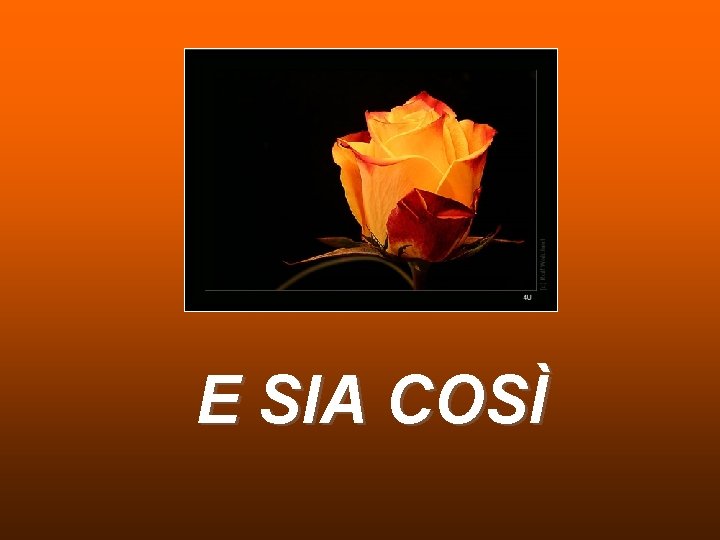 E SIA COSÌ E SIA COSÌ