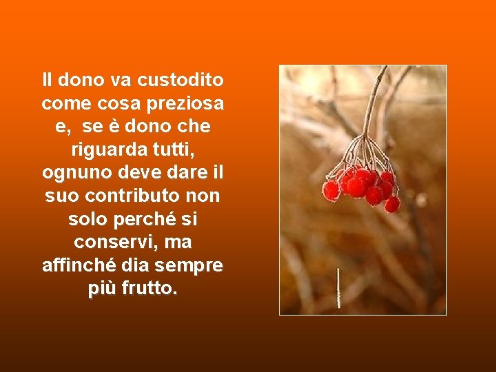 Il dono va custodito come cosa preziosa e, se è dono che riguarda tutti, Il dono va custodito come cosa preziosa e, se è dono che riguarda tutti,