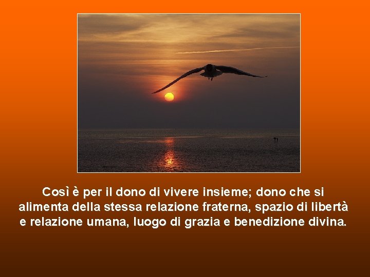 Così è per il dono di vivere insieme; dono che si alimenta della stessa Così è per il dono di vivere insieme; dono che si alimenta della stessa