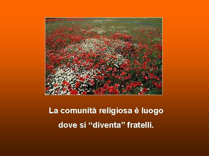 La comunità religiosa è luogo dove si “diventa” fratelli. La comunità religiosa è luogo dove si “diventa” fratelli.