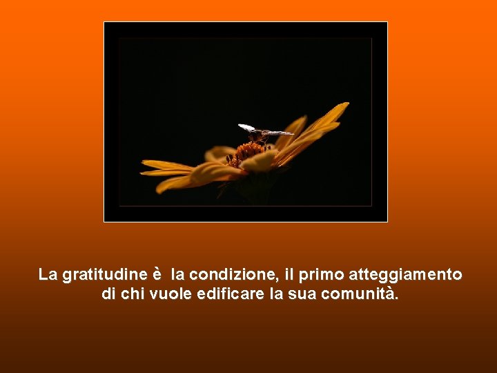 La gratitudine è la condizione, il primo atteggiamento di chi vuole edificare la sua La gratitudine è la condizione, il primo atteggiamento di chi vuole edificare la sua