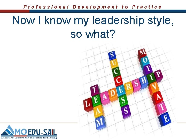 Professional Development to Practice Now I know my leadership style, so what? Professional Development to Practice Now I know my leadership style, so what?