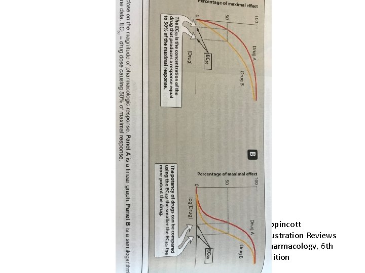 Lippincott Illustration Reviews Pharmacology, 6 th edition 