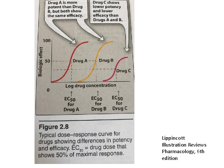 Lippincott Illustration Reviews Pharmacology, 6 th edition 