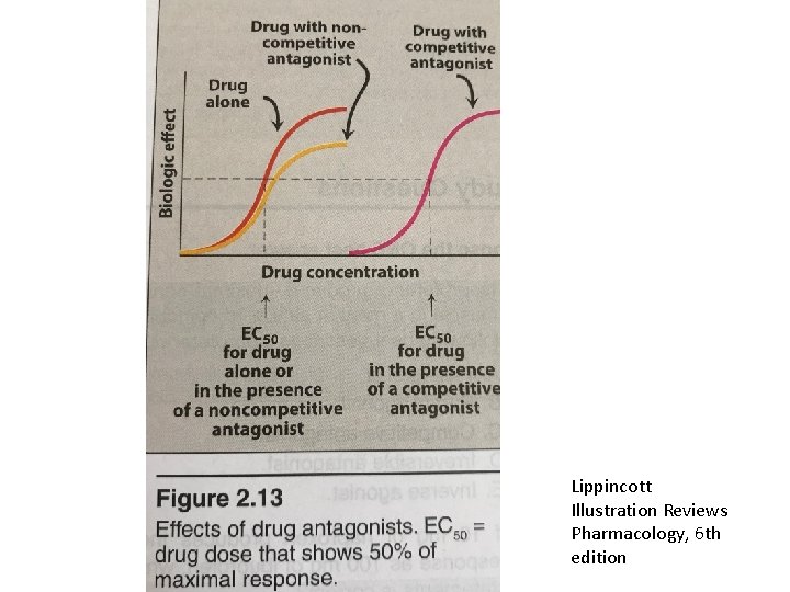 Lippincott Illustration Reviews Pharmacology, 6 th edition 