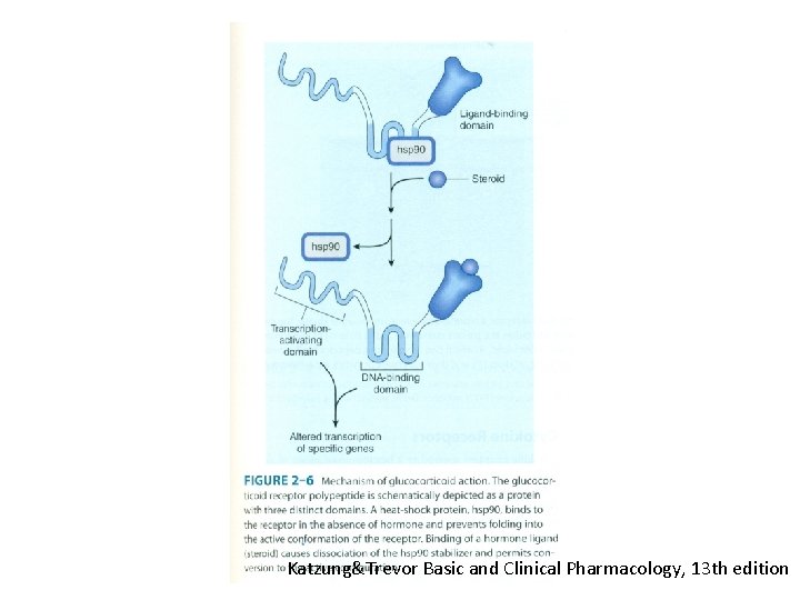 Katzung&Trevor Basic and Clinical Pharmacology, 13 th edition 