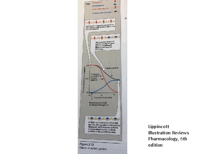 Lippincott Illustration Reviews Pharmacology, 6 th edition 