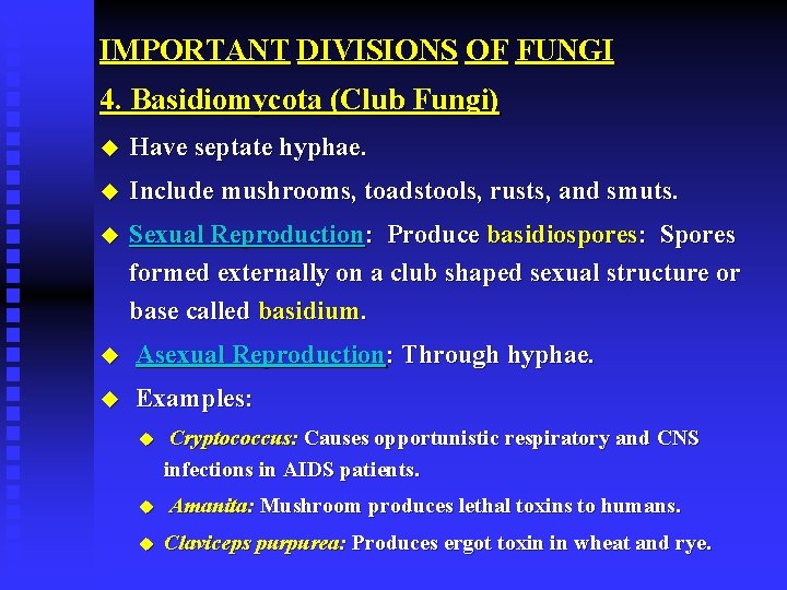 IMPORTANT DIVISIONS OF FUNGI 4. Basidiomycota (Club Fungi) u Have septate hyphae. u Include