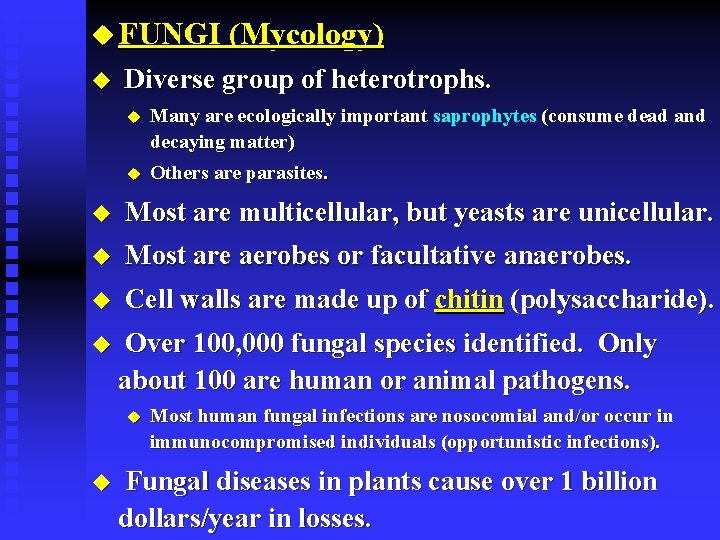 u FUNGI (Mycology) u Diverse group of heterotrophs. u Many are ecologically important saprophytes