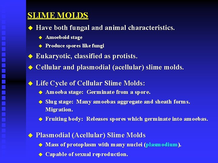 SLIME MOLDS u Have both fungal and animal characteristics. u Amoeboid stage u Produce