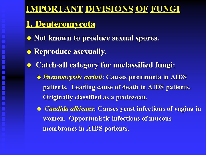 IMPORTANT DIVISIONS OF FUNGI 1. Deuteromycota u Not known to produce sexual spores. u