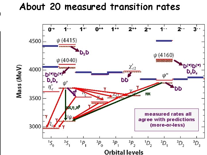 About 20 measured transition rates D 1 D D( *) Ds. Ds DD g