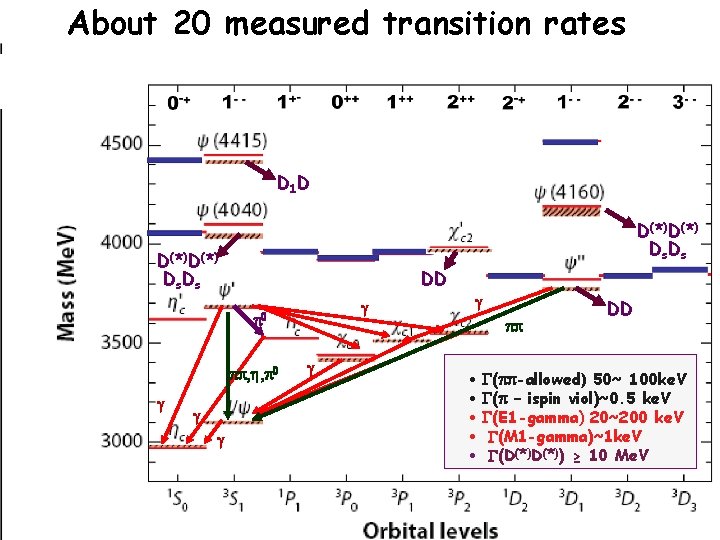 About 20 measured transition rates D 1 D D( *) Ds. Ds DD g