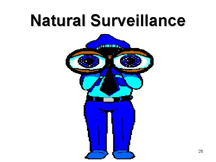 Natural Surveillance 28 
