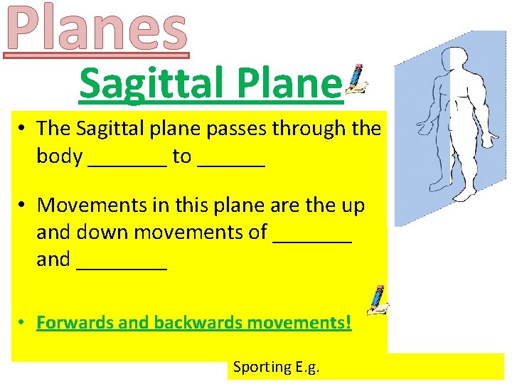 Planes Sagittal Plane • The Sagittal plane passes through the body _______ to ______