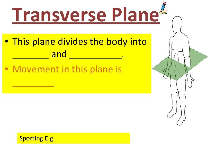 Transverse Plane • This plane divides the body into _______ and _____. • Movement