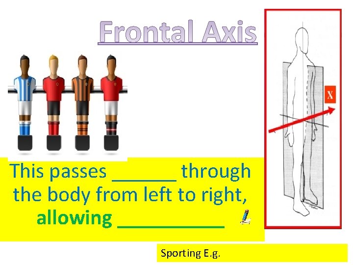 This passes ______ through the body from left to right, allowing _____ Sporting E.