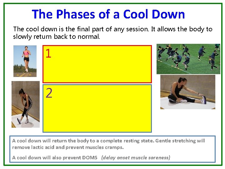 The Phases of a Cool Down The cool down is the final part of