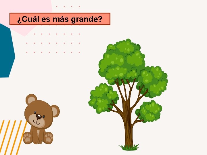 ¿Cuál es más grande? 