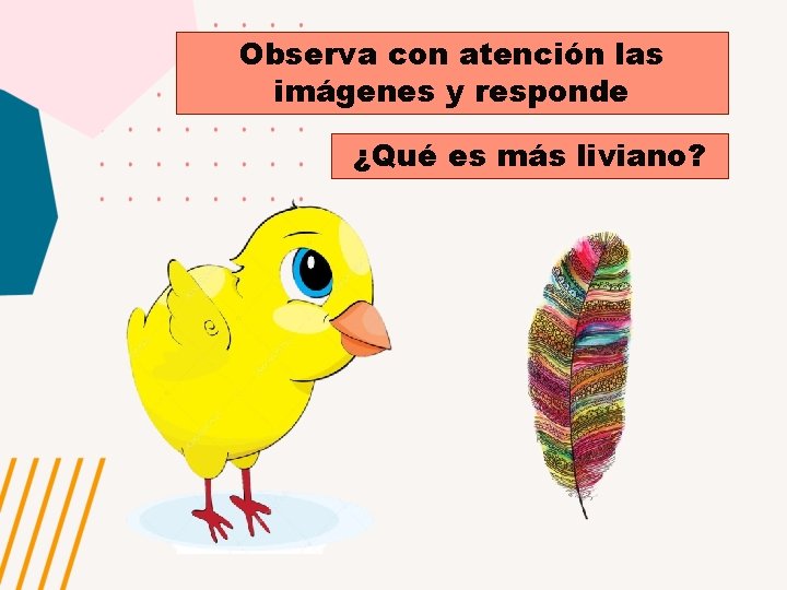 Observa con atención las imágenes y responde ¿Qué es más liviano? 