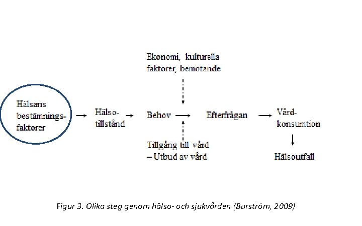 Figur 3. Olika steg genom hälso- och sjukvården (Burström, 2009) 