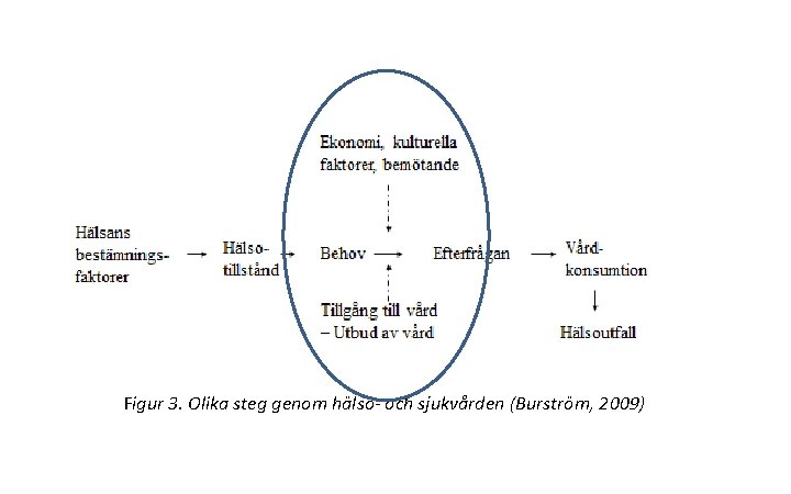 Figur 3. Olika steg genom hälso- och sjukvården (Burström, 2009) 