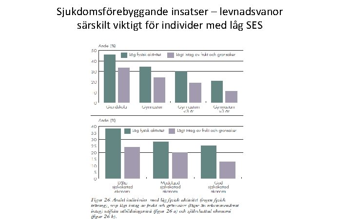 Sjukdomsförebyggande insatser – levnadsvanor särskilt viktigt för individer med låg SES 