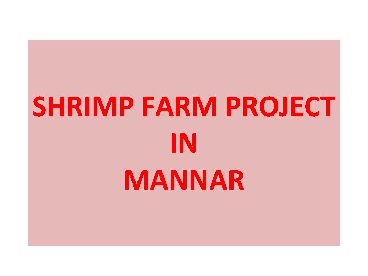 SHRIMP FARM PROJECT IN MANNAR 