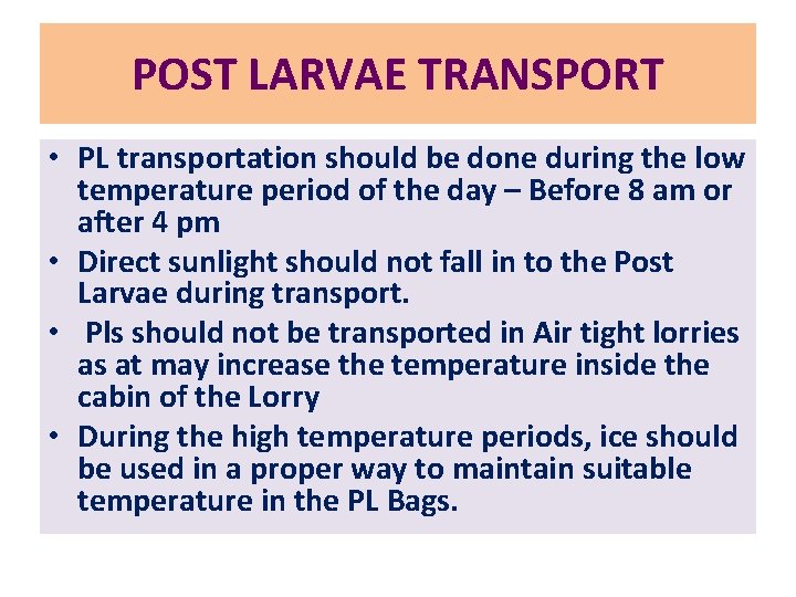 POST LARVAE TRANSPORT • PL transportation should be done during the low temperature period