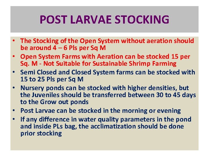 POST LARVAE STOCKING • The Stocking of the Open System without aeration should be