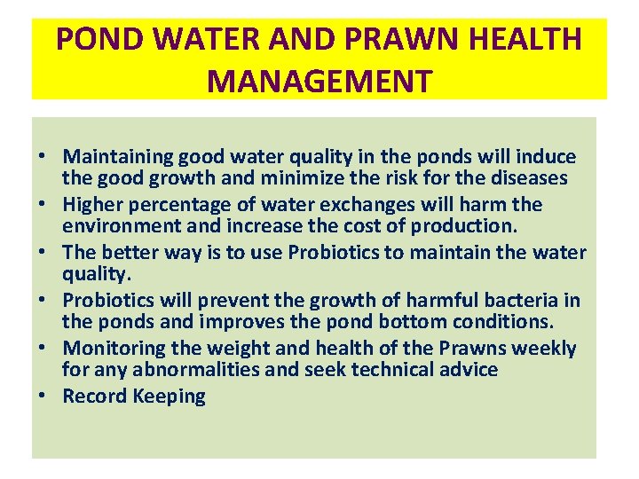 POND WATER AND PRAWN HEALTH MANAGEMENT • Maintaining good water quality in the ponds