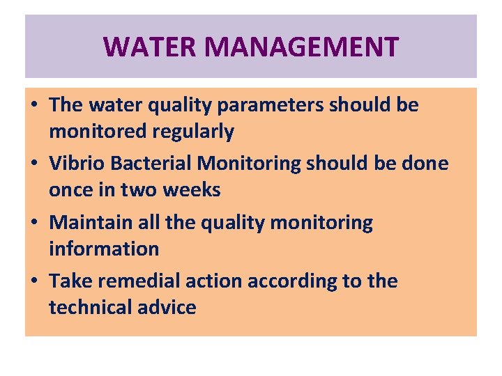 WATER MANAGEMENT • The water quality parameters should be monitored regularly • Vibrio Bacterial