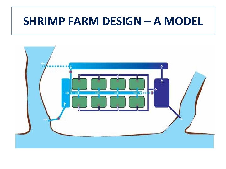 SHRIMP FARM DESIGN – A MODEL 