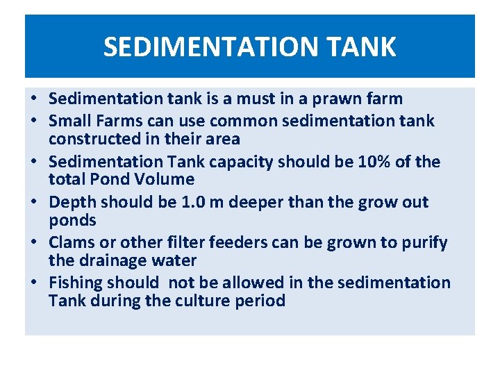 SEDIMENTATION TANK • Sedimentation tank is a must in a prawn farm • Small