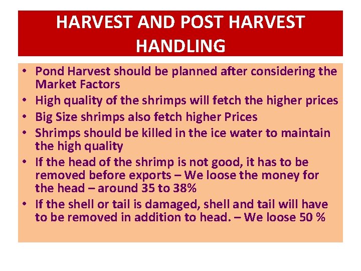 HARVEST AND POST HARVEST HANDLING • Pond Harvest should be planned after considering the